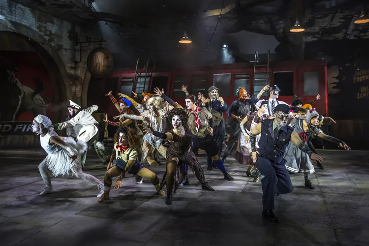 Cats at Kilworth House Theatre production photograph 3