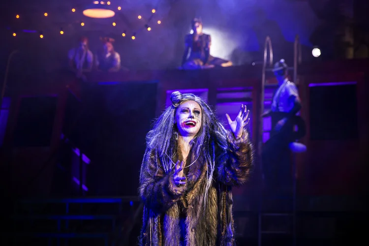 Cats at Kilworth House Theatre production photograph 5