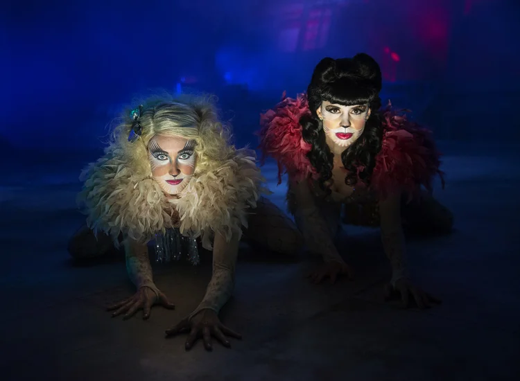 Cats at Kilworth House Theatre production photograph 7