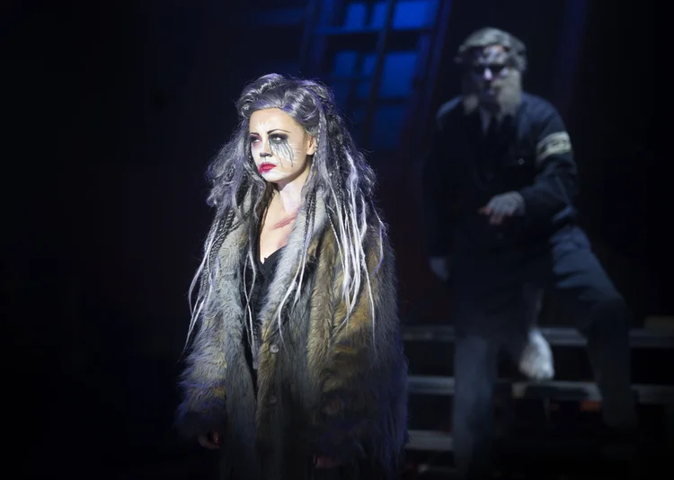 Cats at Kilworth House Theatre production photograph 8